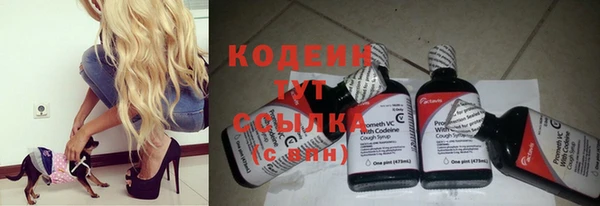 прущая мука Горняк