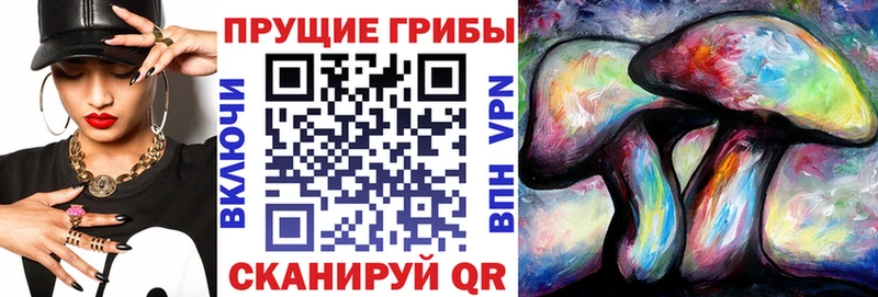 Галлюциногенные грибы Psilocybe  Купить закладки  Зарайск 